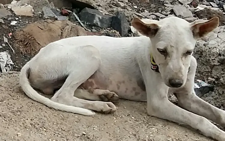 WhatsApp Image 2025-11-29 at 12.56.06 PM