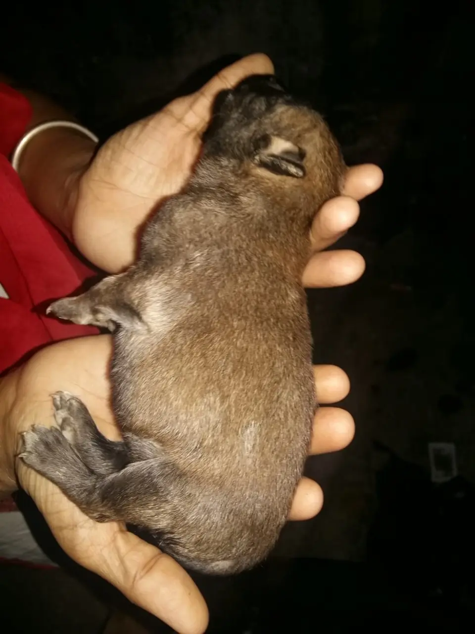 WhatsApp Image 2025-11-29 at 12.56.11 PM