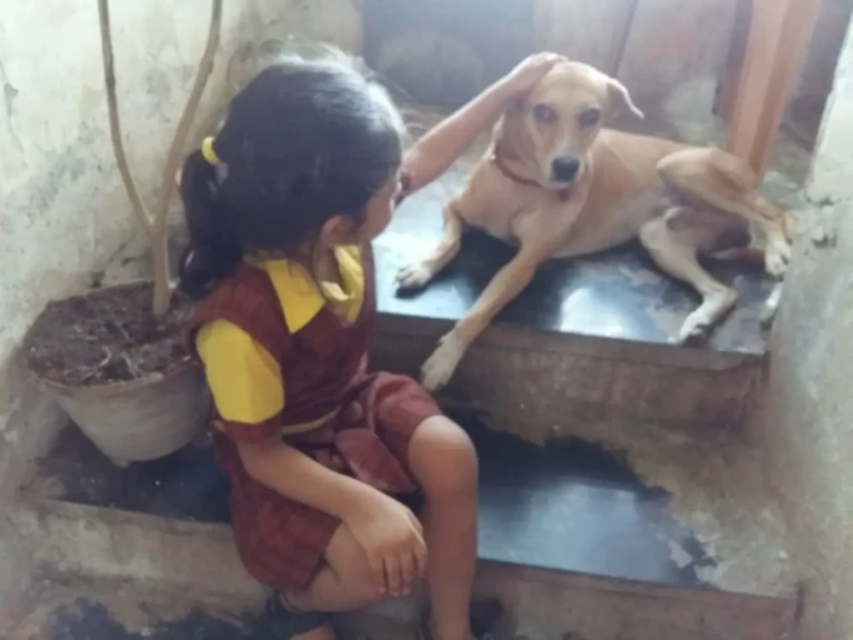 Feeding Spot Request WhatsApp Image 2025-11-29 at 12.56.19 PM (1)