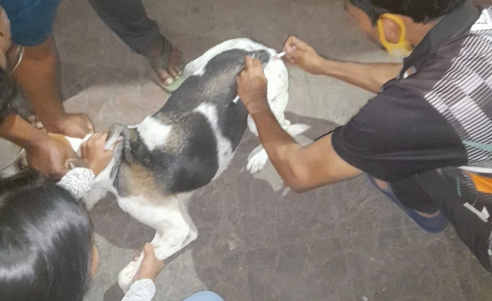 WhatsApp Image 2025-11-29 at 5.57.24 PM (2)