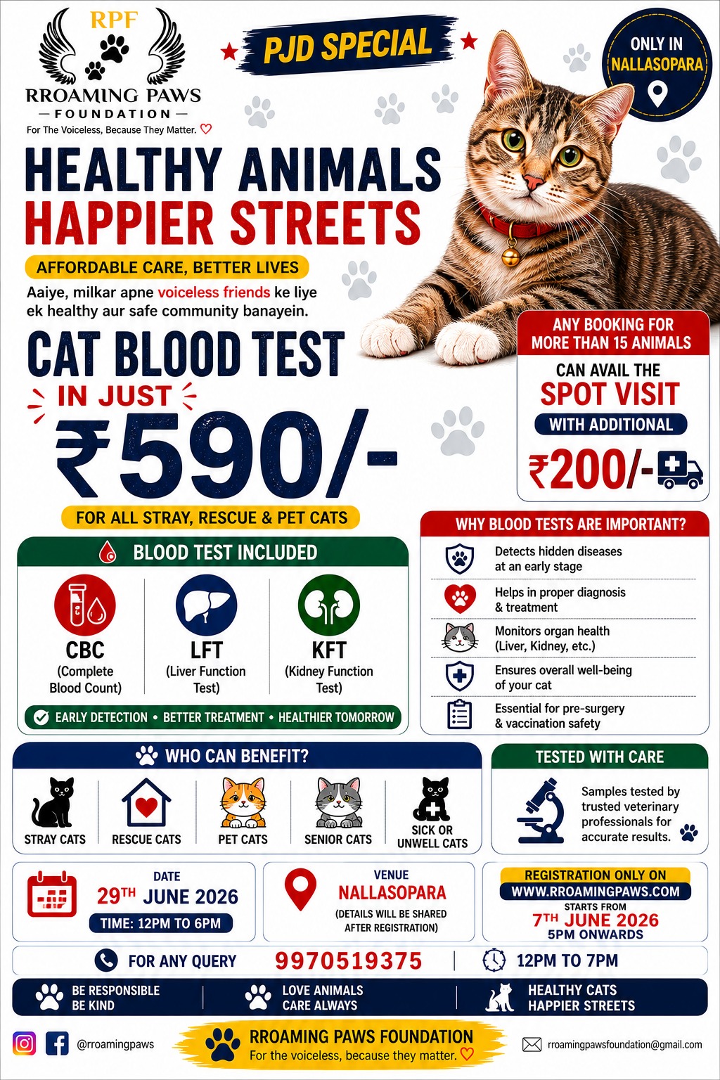 whatsapp image 2026 06 09 at 2.41.58 pm