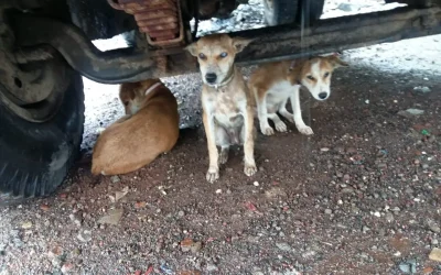 WhatsApp Image 2025-11-29 at 12.56.16 PM