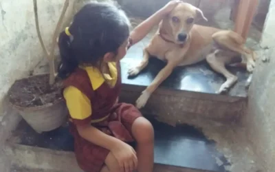 WhatsApp Image 2025-11-29 at 12.56.19 PM (1)