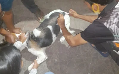 WhatsApp Image 2025-11-29 at 5.57.24 PM (2)