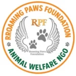Rroamingpaws